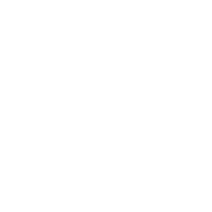 Meeting-record-ICON
