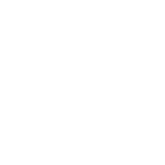Video-ICON