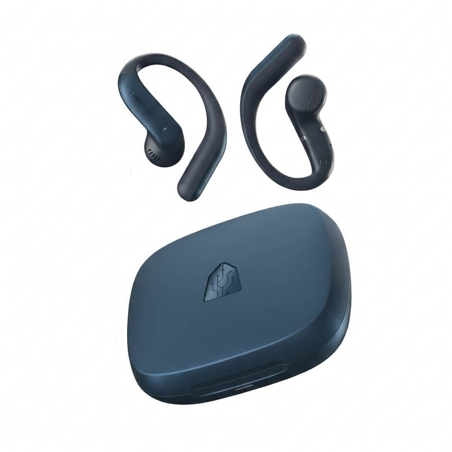 LiveTalk AI Translation Earbuds