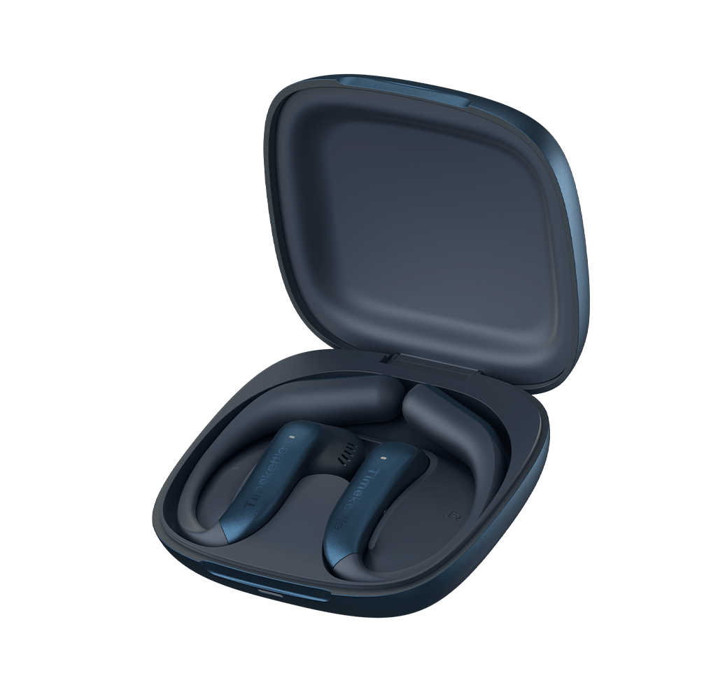 LiveTalk AI Translation Earbuds
