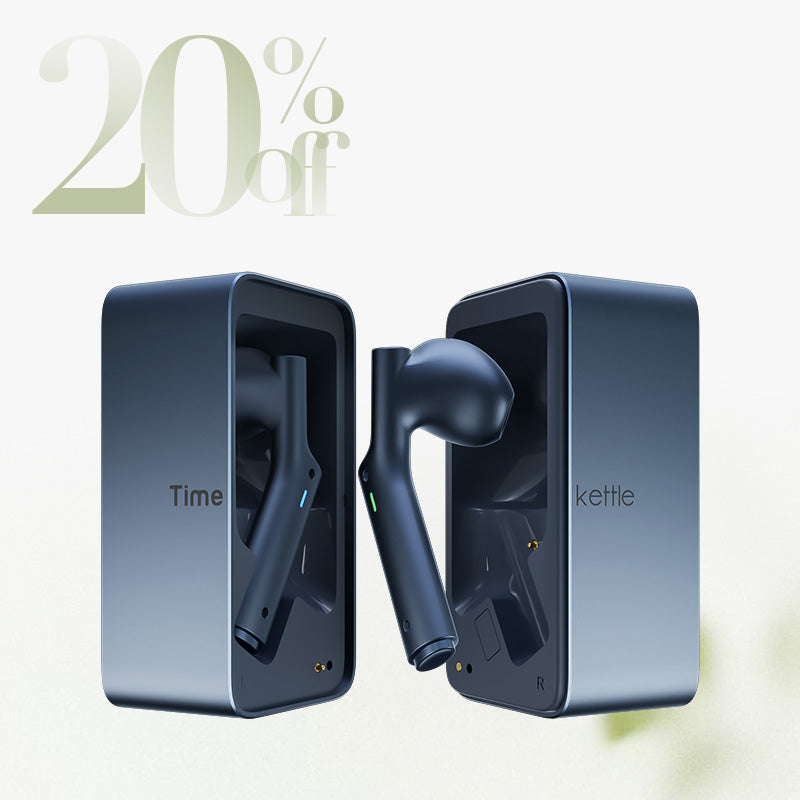 W4 AI Interpreter Earbuds